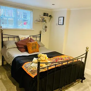 check availability